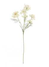 *FRILLY POPPY STEM CREAM